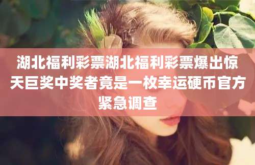 湖北福利彩票湖北福利彩票爆出惊天巨奖中奖者竟是一枚幸运硬币官方紧急调查