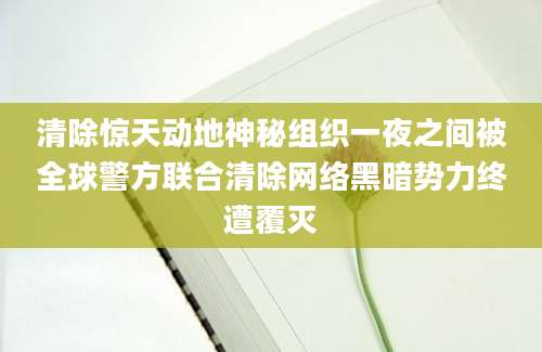 清除惊天动地神秘组织一夜之间被全球警方联合清除网络黑暗势力终遭覆灭