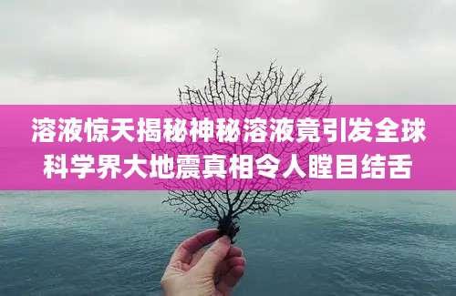 溶液惊天揭秘神秘溶液竟引发全球科学界大地震真相令人瞠目结舌