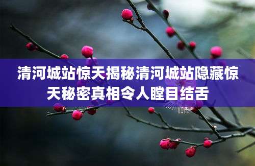 清河城站惊天揭秘清河城站隐藏惊天秘密真相令人瞠目结舌