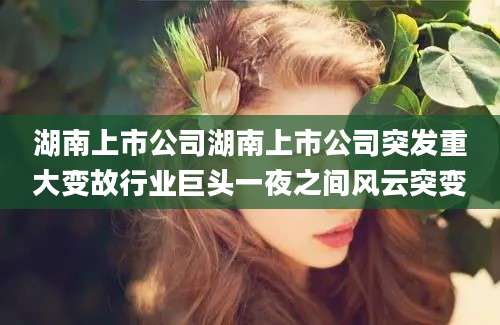 湖南上市公司湖南上市公司突发重大变故行业巨头一夜之间风云突变