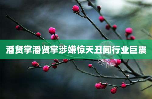 潘贤掌潘贤掌涉嫌惊天丑闻行业巨震