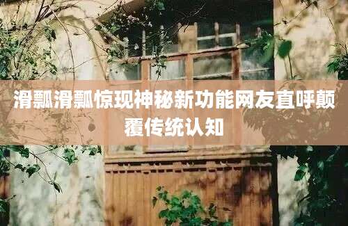 滑瓢滑瓢惊现神秘新功能网友直呼颠覆传统认知