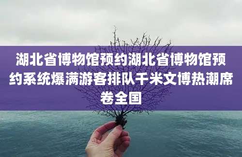 湖北省博物馆预约湖北省博物馆预约系统爆满游客排队千米文博热潮席卷全国