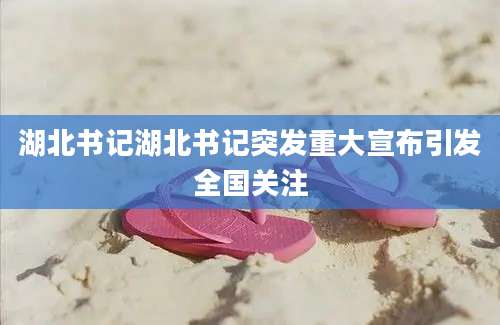 湖北书记湖北书记突发重大宣布引发全国关注