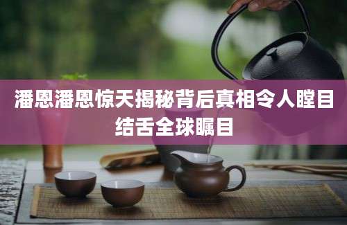 潘恩潘恩惊天揭秘背后真相令人瞠目结舌全球瞩目