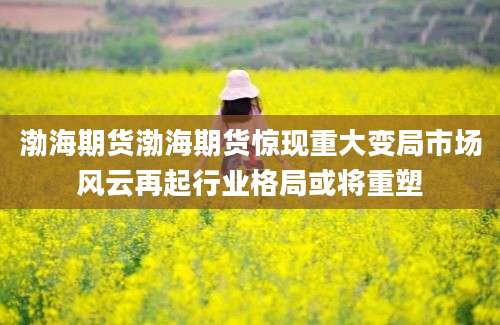 渤海期货渤海期货惊现重大变局市场风云再起行业格局或将重塑