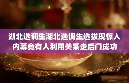 湖北选调生湖北选调生选拔现惊人内幕竟有人利用关系走后门成功