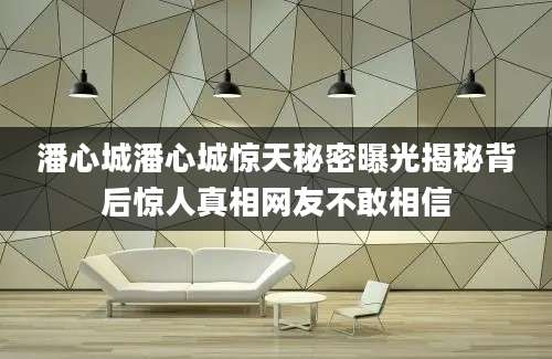 潘心城潘心城惊天秘密曝光揭秘背后惊人真相网友不敢相信