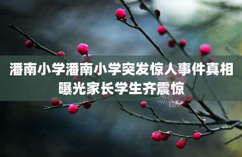 潘南小学潘南小学突发惊人事件真相曝光家长学生齐震惊