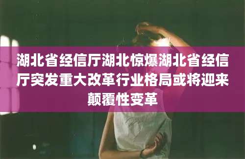 湖北省经信厅湖北惊爆湖北省经信厅突发重大改革行业格局或将迎来颠覆性变革