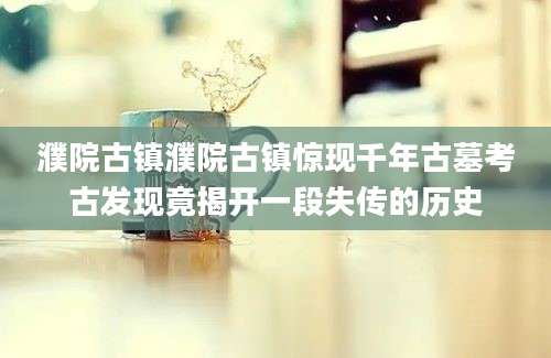 濮院古镇濮院古镇惊现千年古墓考古发现竟揭开一段失传的历史