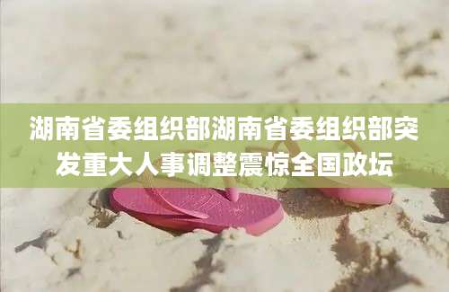 湖南省委组织部湖南省委组织部突发重大人事调整震惊全国政坛