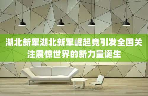 湖北新军湖北新军崛起竟引发全国关注震惊世界的新力量诞生