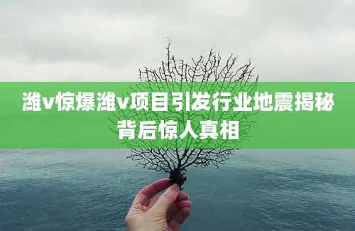 潍v惊爆潍v项目引发行业地震揭秘背后惊人真相