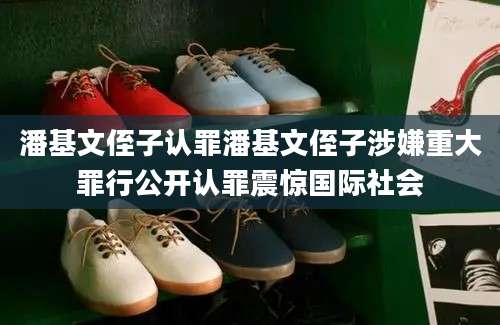 潘基文侄子认罪潘基文侄子涉嫌重大罪行公开认罪震惊国际社会