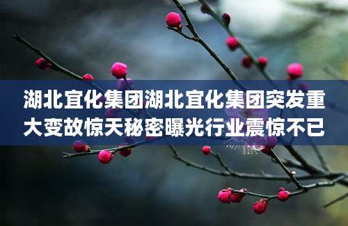 湖北宜化集团湖北宜化集团突发重大变故惊天秘密曝光行业震惊不已