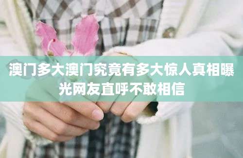 澳门多大澳门究竟有多大惊人真相曝光网友直呼不敢相信