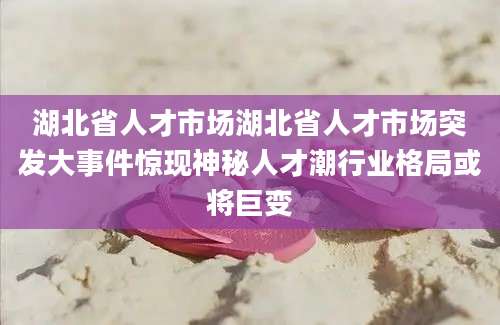 湖北省人才市场湖北省人才市场突发大事件惊现神秘人才潮行业格局或将巨变