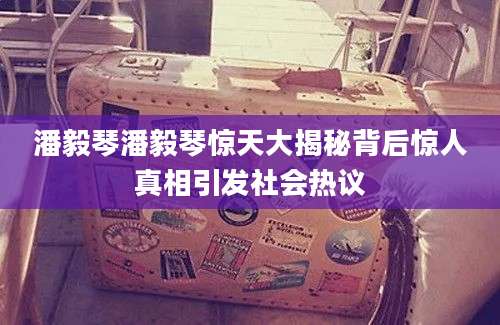 潘毅琴潘毅琴惊天大揭秘背后惊人真相引发社会热议
