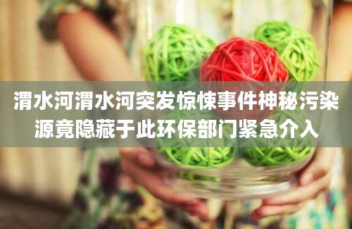 渭水河渭水河突发惊悚事件神秘污染源竟隐藏于此环保部门紧急介入