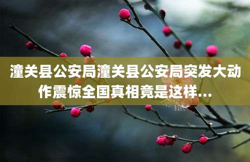潼关县公安局潼关县公安局突发大动作震惊全国真相竟是这样...