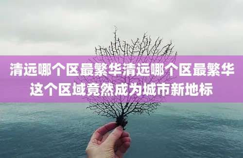 清远哪个区最繁华清远哪个区最繁华这个区域竟然成为城市新地标