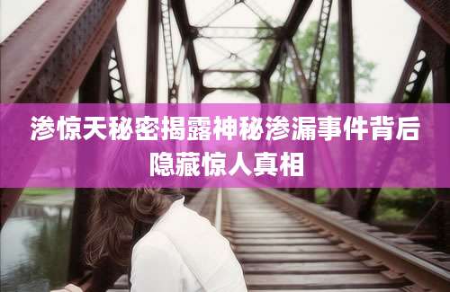 渗惊天秘密揭露神秘渗漏事件背后隐藏惊人真相