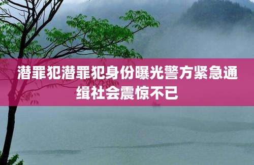潜罪犯潜罪犯身份曝光警方紧急通缉社会震惊不已