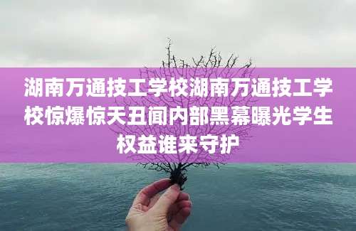 湖南万通技工学校湖南万通技工学校惊爆惊天丑闻内部黑幕曝光学生权益谁来守护