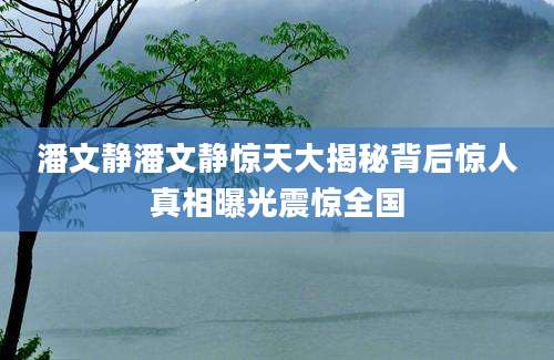 潘文静潘文静惊天大揭秘背后惊人真相曝光震惊全国