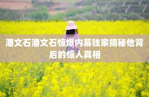 潘文石潘文石惊爆内幕独家揭秘他背后的惊人真相