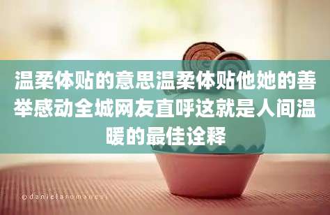 温柔体贴的意思温柔体贴他她的善举感动全城网友直呼这就是人间温暖的最佳诠释