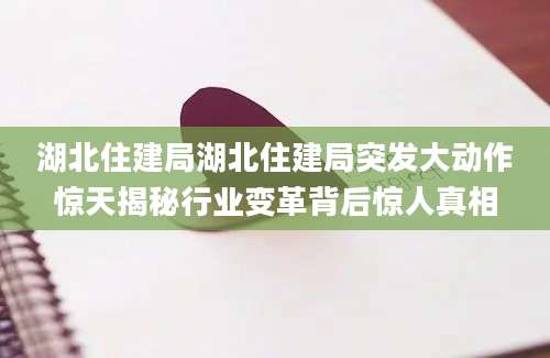 湖北住建局湖北住建局突发大动作惊天揭秘行业变革背后惊人真相