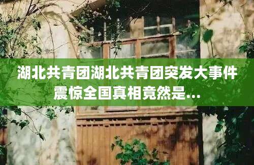 湖北共青团湖北共青团突发大事件震惊全国真相竟然是...