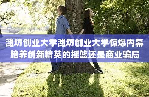 潍坊创业大学潍坊创业大学惊爆内幕培养创新精英的摇篮还是商业骗局