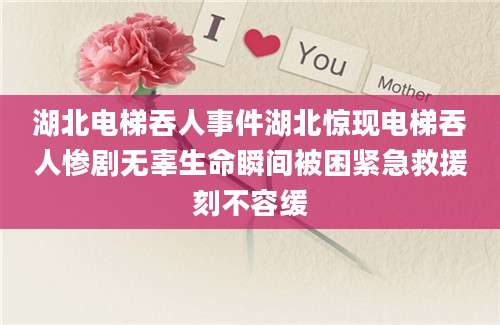 湖北电梯吞人事件湖北惊现电梯吞人惨剧无辜生命瞬间被困紧急救援刻不容缓