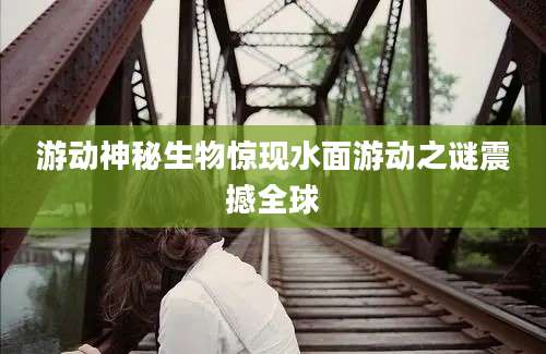 游动神秘生物惊现水面游动之谜震撼全球