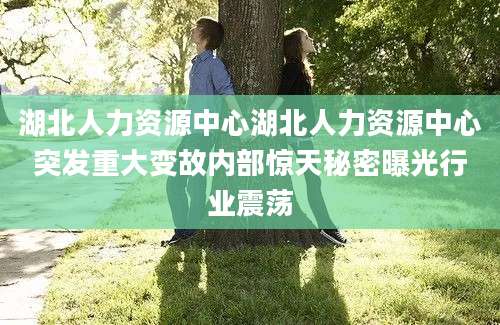 湖北人力资源中心湖北人力资源中心突发重大变故内部惊天秘密曝光行业震荡