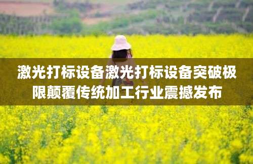 激光打标设备激光打标设备突破极限颠覆传统加工行业震撼发布