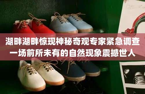 湖畔湖畔惊现神秘奇观专家紧急调查一场前所未有的自然现象震撼世人