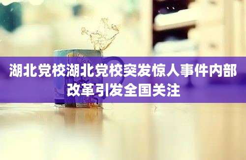 湖北党校湖北党校突发惊人事件内部改革引发全国关注