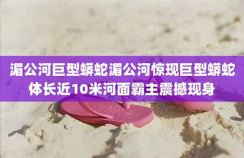 湄公河巨型蟒蛇湄公河惊现巨型蟒蛇体长近10米河面霸主震撼现身