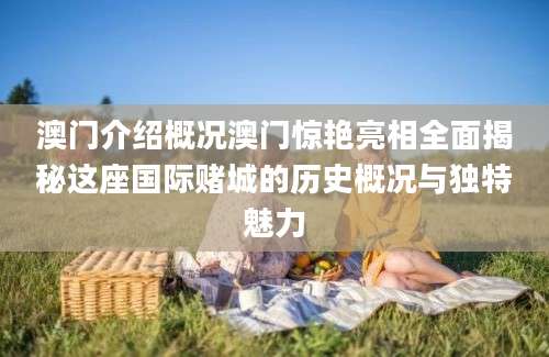 澳门介绍概况澳门惊艳亮相全面揭秘这座国际赌城的历史概况与独特魅力