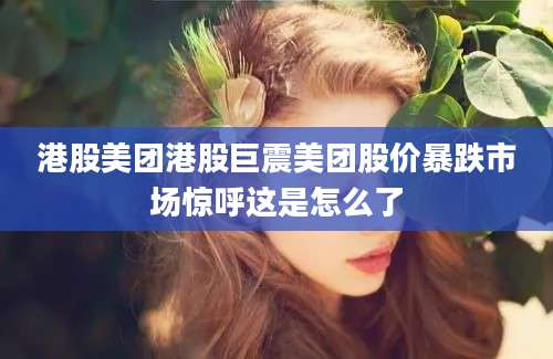 港股美团港股巨震美团股价暴跌市场惊呼这是怎么了