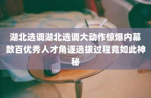 湖北选调湖北选调大动作惊爆内幕数百优秀人才角逐选拔过程竟如此神秘