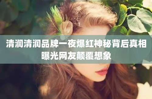 清润清润品牌一夜爆红神秘背后真相曝光网友颠覆想象