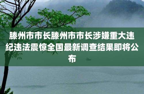 滕州市市长滕州市市长涉嫌重大违纪违法震惊全国最新调查结果即将公布