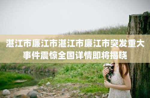 湛江市廉江市湛江市廉江市突发重大事件震惊全国详情即将揭晓