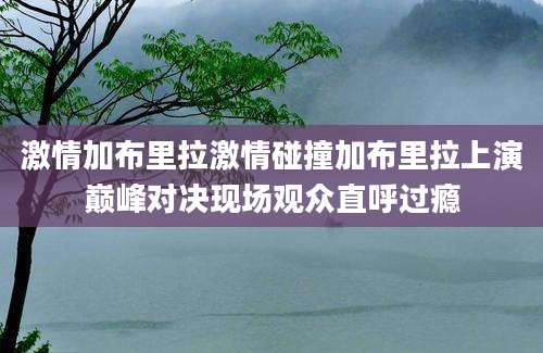 激情加布里拉激情碰撞加布里拉上演巅峰对决现场观众直呼过瘾